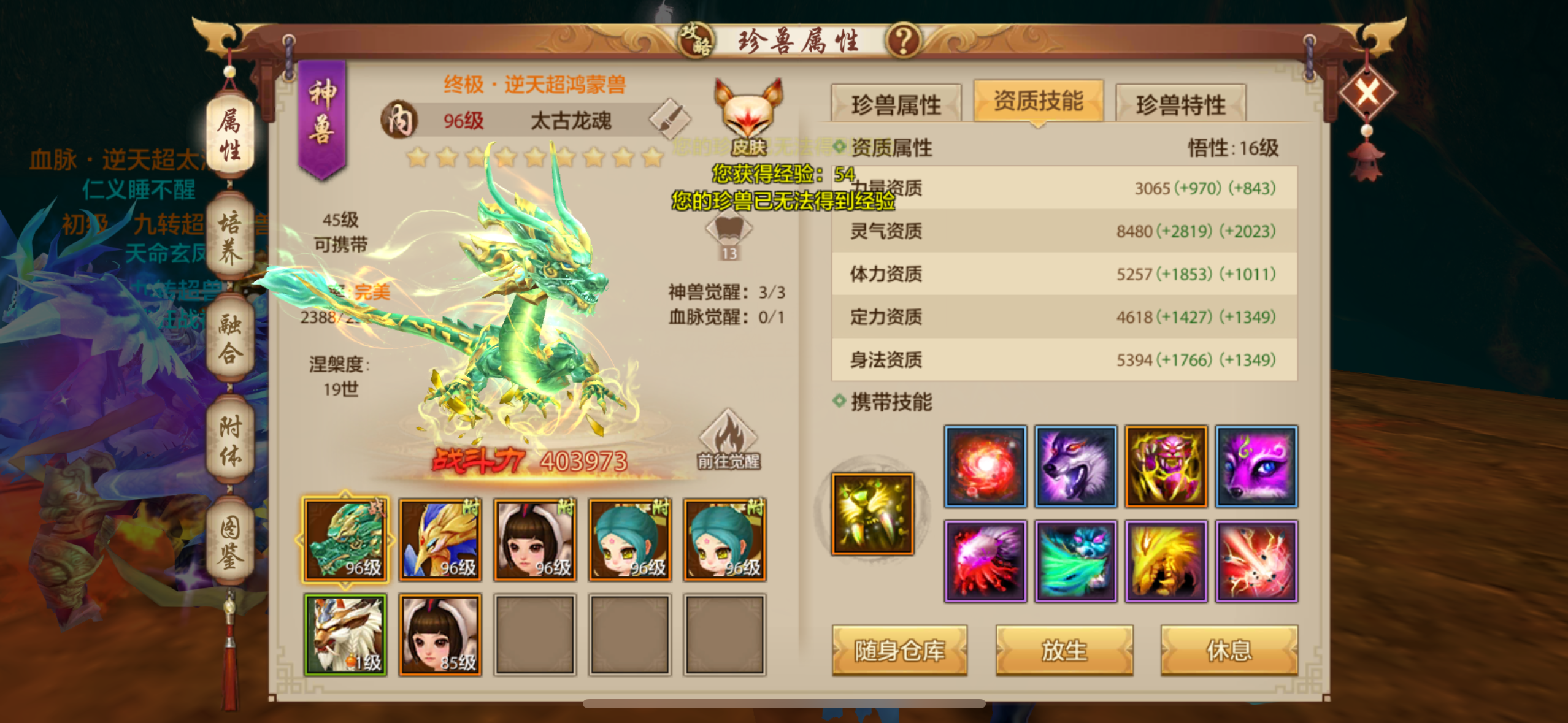 商品预览